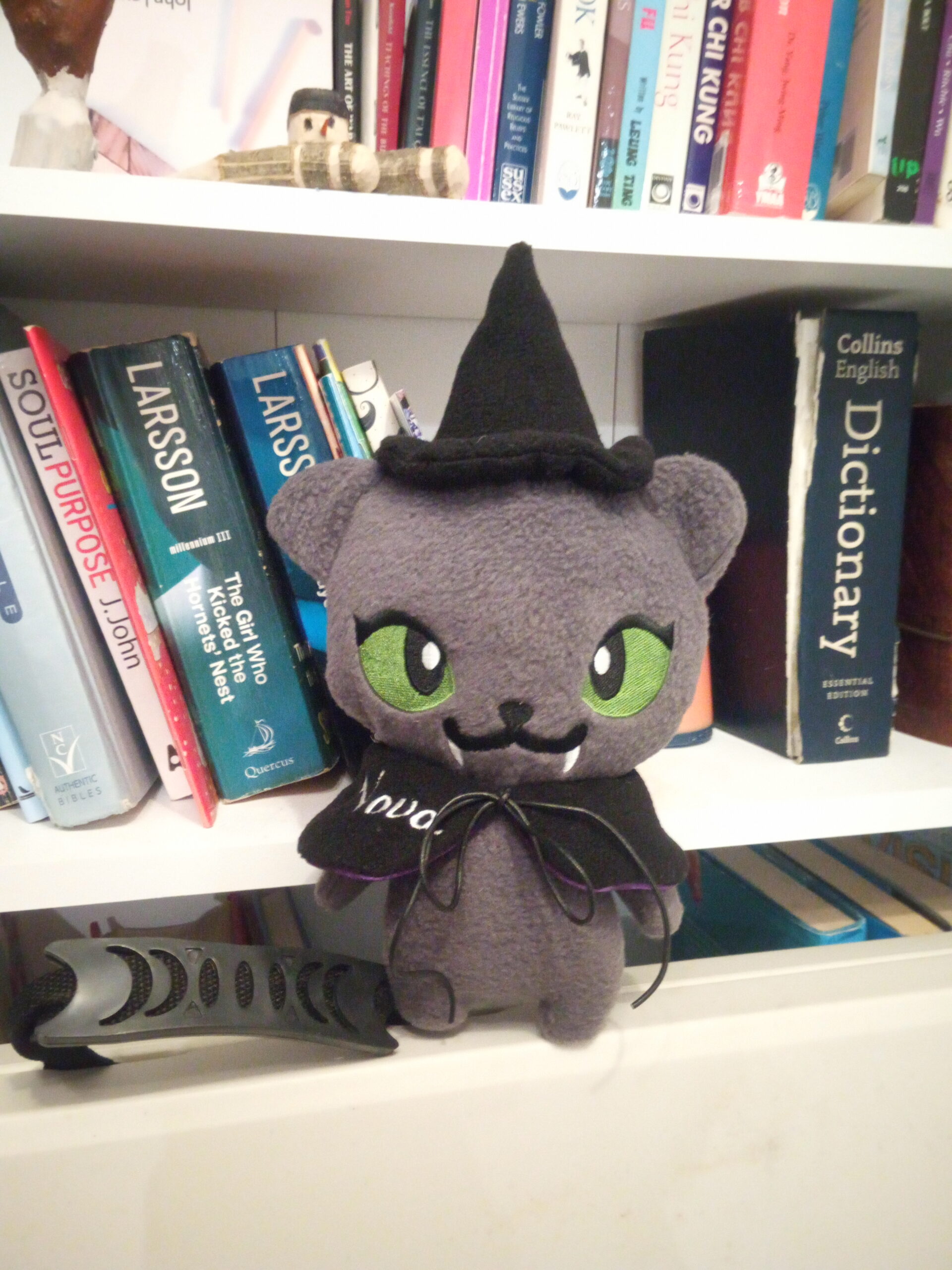 Witch cat v2